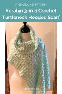 Veralyn 3-in-1 Crochet Turtleneck Hooded Scarf Pattern by Pattern Princess 1