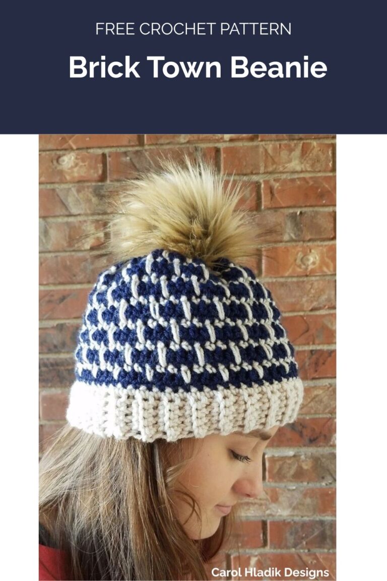 Brick Town Beanie from Carol Hladik Designs 1 (1)