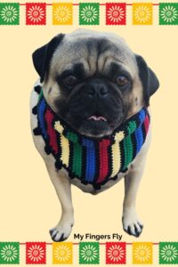 Cinco de Mayo Pet Bandana from My Fingers Fly