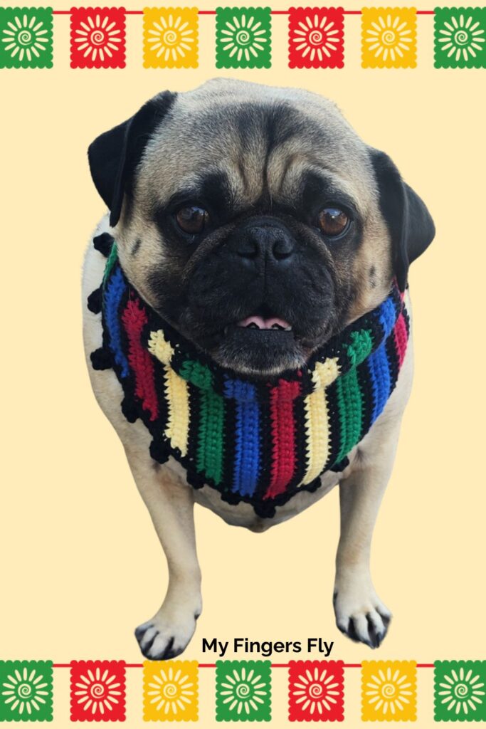 Cinco de Mayo Pet Bandana from My Fingers Fly