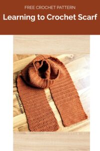 Learning to Crochet Scarf from Dana Nield Designs 1