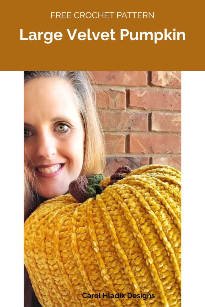 Large Velvet Pumpkin from Carol Hladik Designs 1