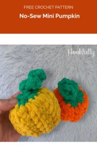 No-Sew Mini Pumpkin from Hookfully