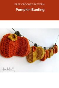Pumpkin Bunting from Hookfully