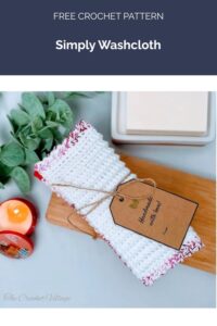 Simply Washcloth from The Crochet Village
