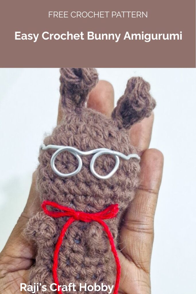 Easy Crochet Bunny Amigurumi from Raji's Craft Hobby