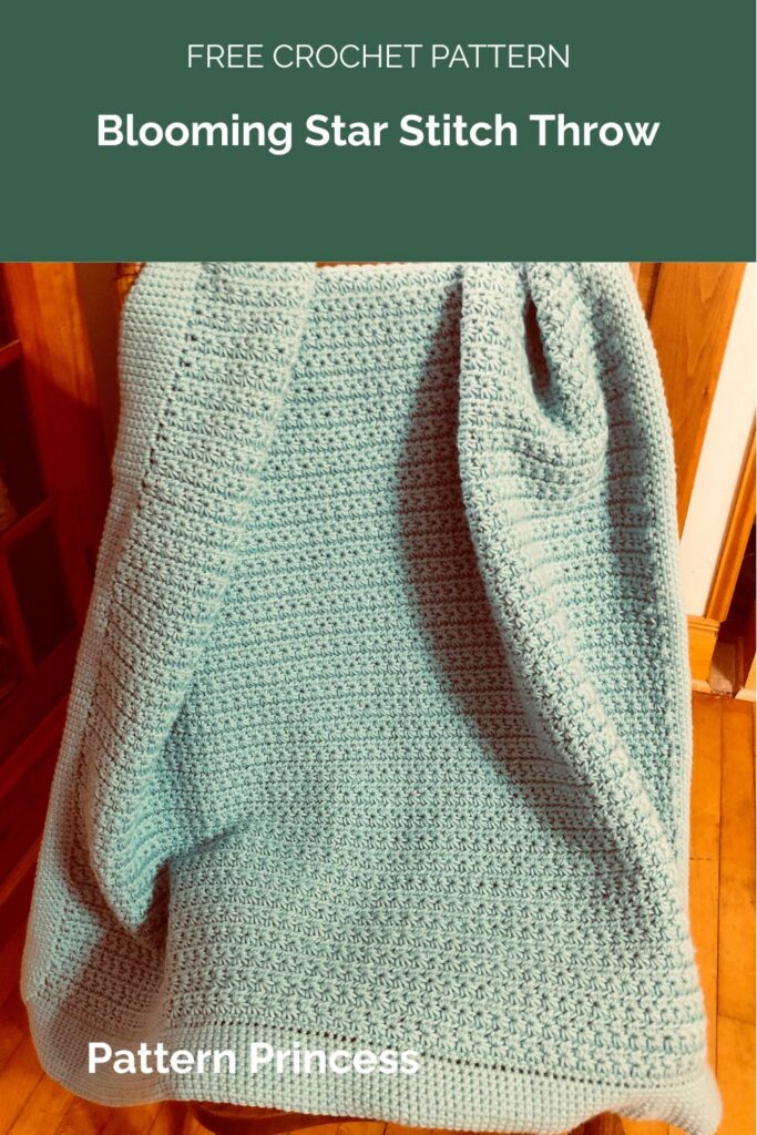 Blooming Star Stitch Throw from Pattern Princess